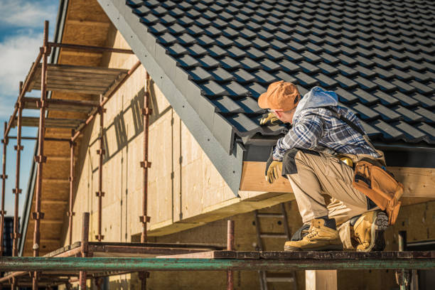 Best Roof Moss and Algae Removal  in Hampton, SC