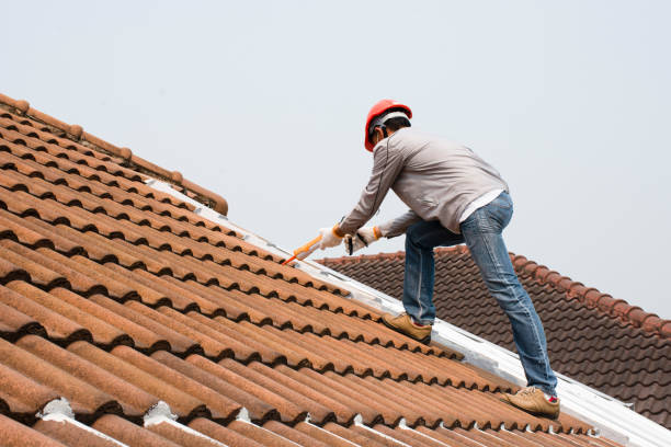 Best Storm Damage Roof Repair  in Hampton, SC