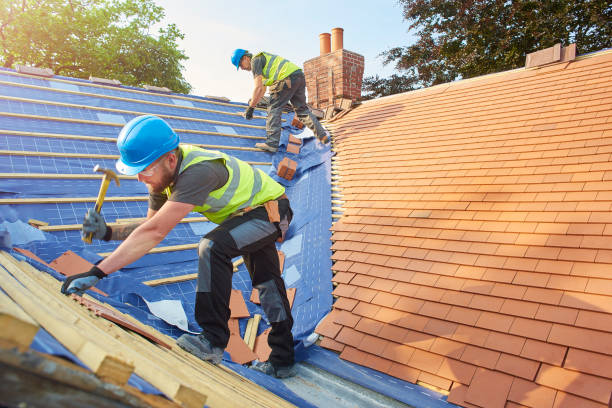Best Roof Replacement  in Hampton, SC